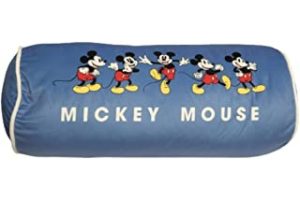 513zn1INFfL._AC_UL320_