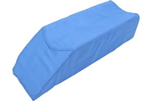 51b1XP6lIsL._AC_UL320_