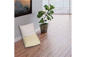 Almohada Dunlopillo Latex Talalay 71J+5drHBuL._AC_UL320_