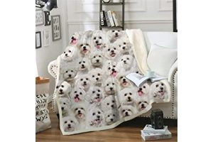 Mantas Manterol Infantiles 71ZpEkc-ooL._AC_UL320_