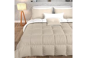 Edredon Cafe 81OuaUuKnxL._AC_UL320_